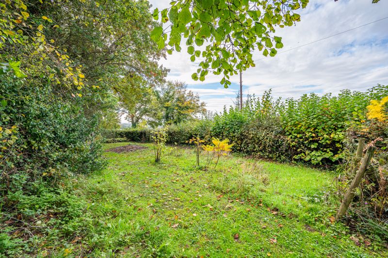 Garden- click for photo gallery